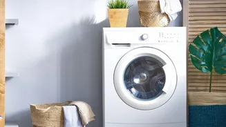 Rain And Laundry: Why Clothes Smell Even After Washing