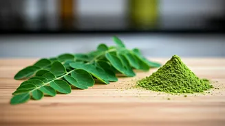 Moringa Leaves Make Everyday Food Feel Smarter