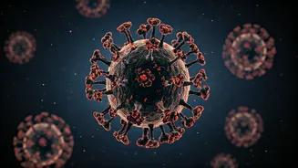 Cicada Variant BA.2.86.1.1: What to Do If You Test Positive Amidst Widespread Detection