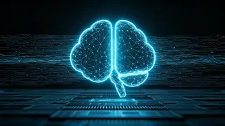 Related Stories banner