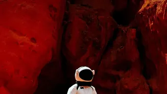 Gut Health And Deep Space: Why Astronaut Research Matters For Mars