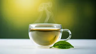 The 2-Week Green Tea Challenge: What Harvard Experts Say Happens to Your Body