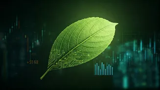 Land Lucrative Corporate Sustainability Contracts Carrying Carbon Footprint Tracking Micro Credentials