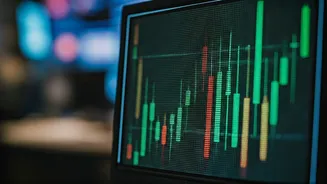 Decoding Stock Market Insights & Investment Strategies