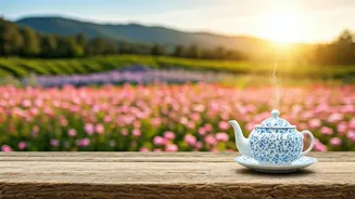 Tea Gardens And Love Stories Await