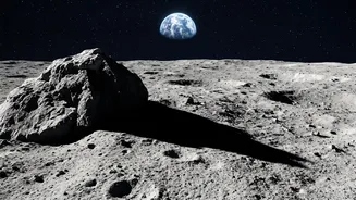 Some Earth Microbes May Outlast Lunar Exposure Longer Than Scientists Expected