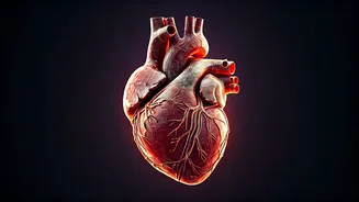 Weekly Health: Tips & Zodiac Insights (Nov 17-23)