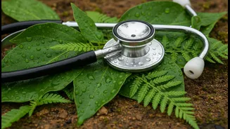 Rain Alerts Should Trigger Basic Health Checks