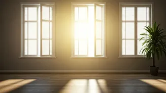 Musty Rooms Need Sunlight, Airflow And Patience