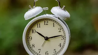 How Natural Early Light Resets Your Biological Clock And Fixes Poor Sleep Patterns