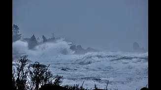 Cyclone Arnab: Andhra Pradesh and Odisha on High Alert with Heavy Rainfall Expected