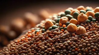 Fibre Is The Real Satiety Superpower
