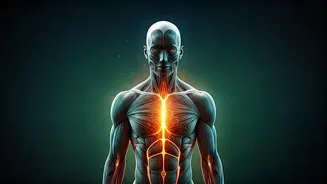 Bollywood's Fitness Titans: Age-Defying Icons and Their Holistic Health Secrets