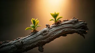 India's Seniors Face 12% Higher Depression Risk with Adult Children Unemployed: LASI Data Reveals