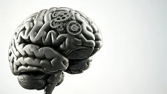 Life Transformation: 5 Psychology Tips Work