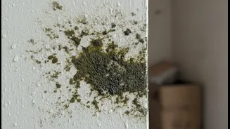 Monsoon Smells Need Cleaning, Not Cover-Ups
