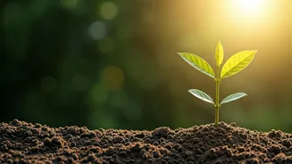 Embracing 'Lazy Parenting': Fostering Independence and Resilience in Your Child