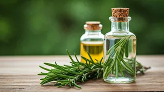 Rosemary Water or Oil: Which is Best for You?