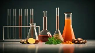 Gut-Friendly Sips Are Becoming Young India’s Drink Choice