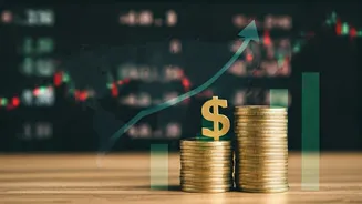 Global Economy: Key Trends Explained Briefly