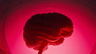 How To Master Deep Focus Using AI Extensions That Block Distractions Automatically