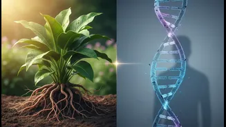 Long-Term Adherence Matters More than a Perfect Genetic Match