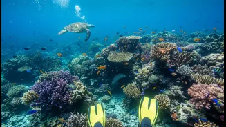 Adventure Activities May Need Specific Cover Beyond A Standard Policy