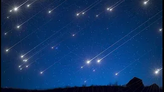 Watching the Night Sky: Everything You Need to Know About Meteor Showers