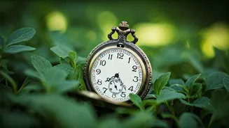 Related Stories banner