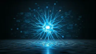 Why Processing Unstructured Text Databases Requires Deep Learning Models