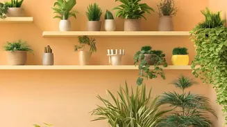New Study Reveals The Real Role Of Indoor Plants In Healthier Living Spaces