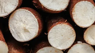 How to Recognise Cassia's Darker, Harder and Thicker Bark