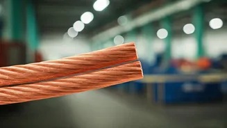 Polycab Shares: A Deep Dive After Q3 Results