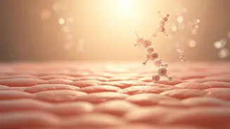 Ceramides Are Officially Skincare's New MVP
