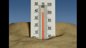 Global August 2026 Temperatures Tie Record Amid Strong El Niño