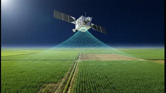 Crop Health And Soil Moisture Monitoring Could Get Stronger With NISAR