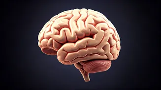 Brain Health: Understanding Dementia Risks and Prevention