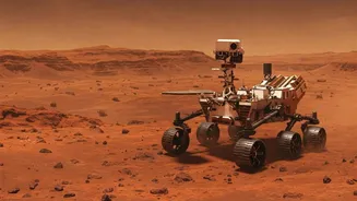 Want to live on Mars? Try this fun AI simulation