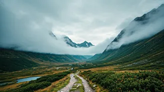 Foggy Hills Dominate Gen Z Travel Dreams