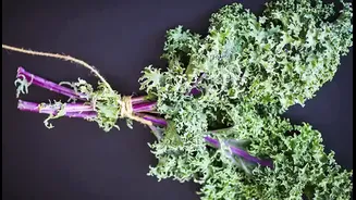 Kale: A Nutrient Powerhouse or Just Another Green?