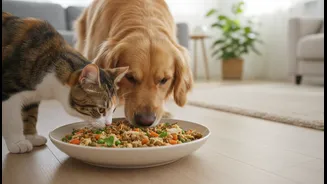 Pet Wellness Starts With Balanced Meals, Not Just Expensive Ingredients
