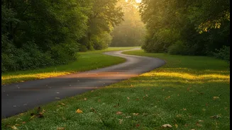 The 10-Minute Post-Meal Walk Is Gaining Support As A Practical Routine