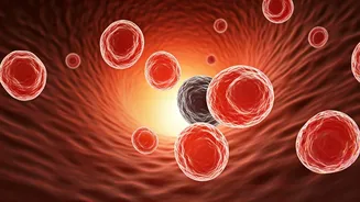 Unpacking Cholesterol: Your Body's Essential Fatty Substance Explained