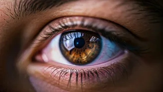 Related Stories banner