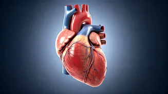 Healthy Habits: 5 Science-Backed Ways to Boost Lifespan