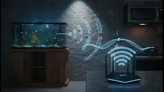 Microwaves, Fish Tanks And Thick Walls Can Weaken Home Wi-Fi