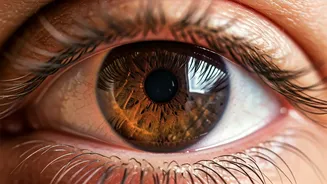 Instant Coffee & Your Eyes: What's the Real Link?