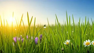 Energize Your Spring: Simple Strategies for a Vibrant Season