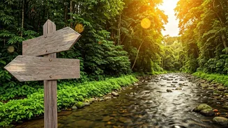 Online Maps Crowdsource Secret Riverside Homestays With Huge Discounts