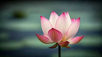 Mahavir Jayanti 2026: Inspiring Messages, Quotes, and Image Ideas for Every Connection